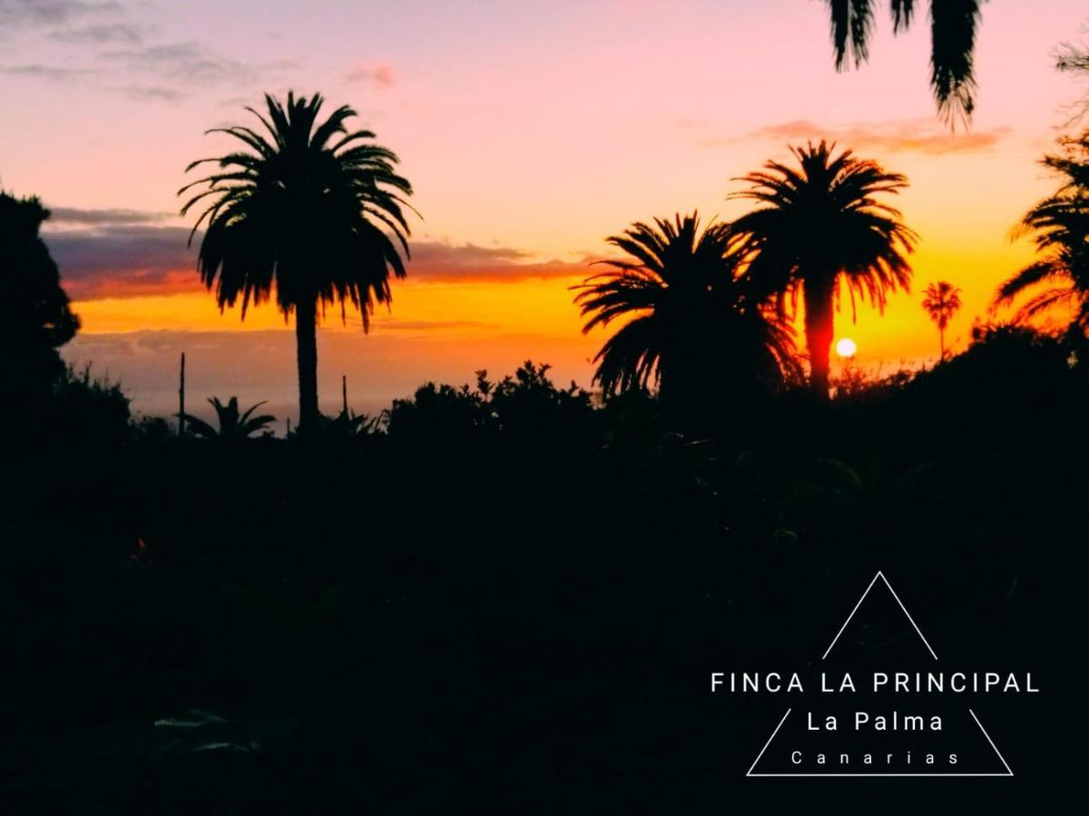 Finca La Principal Breña Alta Exteriör bild