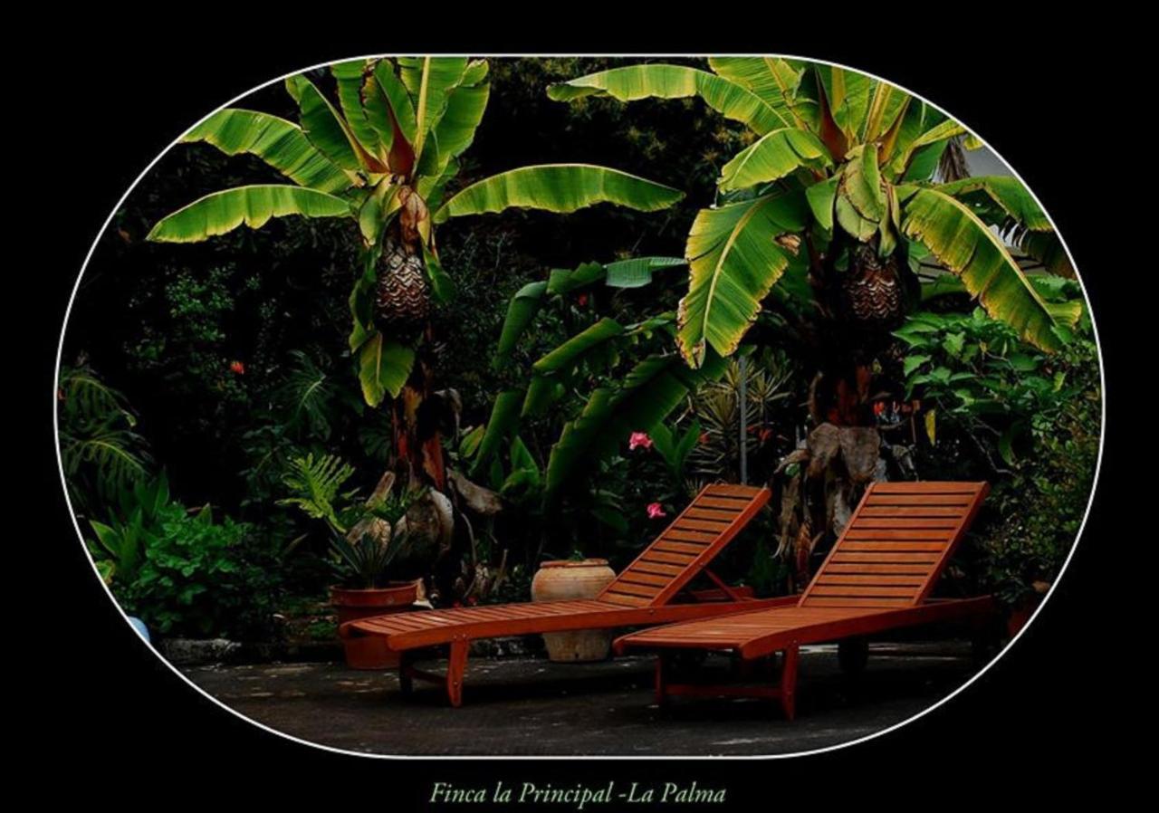 Finca La Principal Breña Alta Exteriör bild