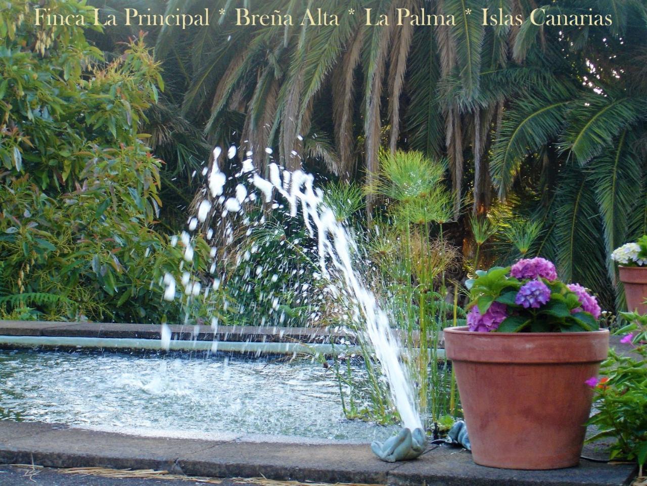 Finca La Principal Breña Alta Exteriör bild
